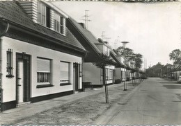 Rijkevorsel :  Lonenhofstraat    (  Groot Formaat 14.5 X 10.5 Cm ) - Rijkevorsel