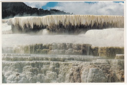 Travertine Terraces At Mammoth Hot Springs - N.W. Corner Of The Yellowstone National Park, Wyoming - (WY) - Yellowstone