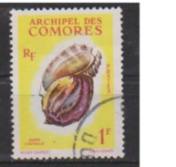 COMORES       N°    20  OBLITERE  ( O 823  ) - Used Stamps