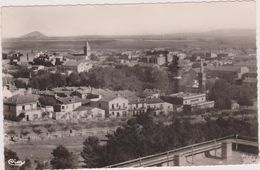 AFRIQUE DU NORD,Algérie,Sétif,Constantine,vue Aérienne,architecture Maison Française,parc,photo Combier - Setif