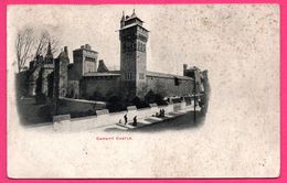 Cardiff Castle - Animée - 1915 - Obl. 55 - De Cardiff à Anvers 1915 - Glamorgan