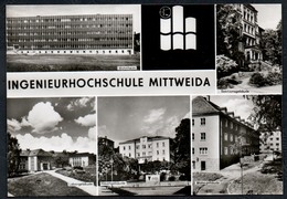 A5335 - Alte MBK Ansichtskarte - Mittweida - Ingenieurshochschule - Pehlke - Mittweida