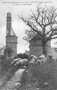 Juvigny Sous Andaine Lanterne Des Morts Moutons Tour De Bonvouloir - Juvigny Sous Andaine