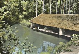 CPSM Lardy Le Lavoir Sur La Juine - Lardy