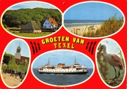 Groeten Van Â… - Texel - Texel