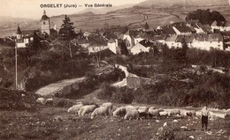 39 JURA - ORGELET Vue Générale - Orgelet