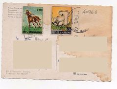 Cavallo Horse - Champignon Fungo - Repubblica Di San Marino - Storia Postale - Covers & Documents
