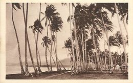 A-17-8749 :  SAMOA - Samoa Américaine