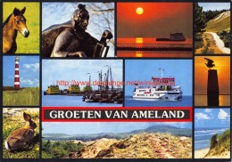 Groeten Van Â… - Ameland - Ameland