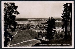 A6054 - Alte Foto Ansichtskarte - Frankenhain Blick V. Flössgraben - Gel 1939 - Ritter - Frankenhain