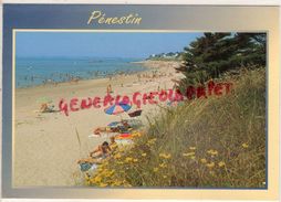 56 - PENESTIN - LA POINTE DE LOSCOLO - Pénestin