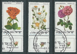 1981 ISRAELE USATO ROSE CON APPENDICE - T12-7 - Gebraucht (mit Tabs)