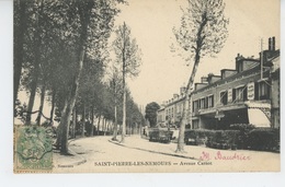 SAINT PIERRE LES NEMOURS - Avenue Carnot - Saint Pierre Les Nemours