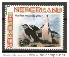 Nederland  2013-1  Ucollect Antarctica  Pinguin  Postfris/mnh/neuf - Ongebruikt