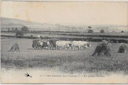 CPA  Attelage Campagne Travaux Des Champs Métier Non Ciculé - Teams