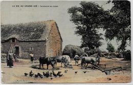 CPA  Attelage Campagne Travaux Des Champs Métier Ciculé Ferme - Attelages