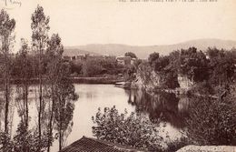 862- BESSE SUR ISSOLE   LE LAC  COTE NORD - Besse-sur-Issole