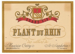 Rare // Plant Du Rhin, Maurice Cossy Vigneron à St.Saphorin  Vaud // Suisse - Zeilboten & Zeilschepen