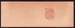 FRANCE/CHINA/VIETNAM/SHIPPING WRAPPER 1895 3c - Newspapers