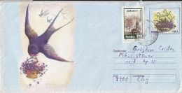 5813FM- SWALLOW, FLOWERS, BIRDS, COVER STATIONERY, 1999, ROMANIA - Hirondelles