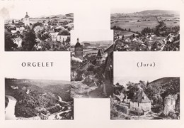 ORGELET - JURA - (38) - CPSM MULTIVUES DENTELÉE. - Orgelet