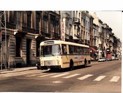 BRUXELLES (1050) : Le Bus 95, Destination "Heiligenborre", De Passage Avenue De La Couronne. Carte-Photo Rare. - Public Transport (surface)