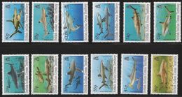 1994 British Indian Ocean Sharks Definitive Complete Set Of 12 MNH - Territorio Britannico Dell'Oceano Indiano