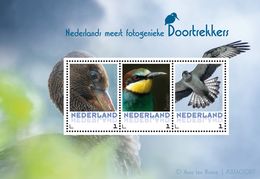 Nederland  2017   Vogels  Pelikaan Arend Bijeneter  Blok 2   Postfris/mnh/neuf - Ongebruikt