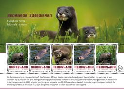 Nederland  2017  Bedreigde Dieren  Endangerd Species  5 Nerts - Mink  Sheetlet    Postfris/mnh/neuf - Ongebruikt