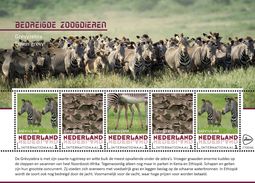 Nederland  2017  Bedreigde Dieren  Endangerd Species  7 Zebra   Sheetlet    Postfris/mnh/neuf - Ongebruikt