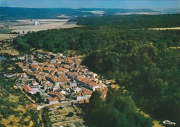 Vignory - Vue Aérienne - Vignory