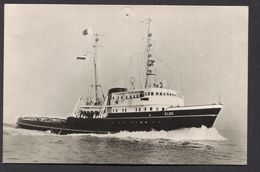 Zeesleepboot M.s. Elbe (schip, 1959)  - NOT Used  - See The 2  Scans For Condition( Original - Sleepboten