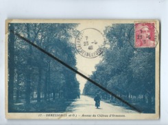 CPA - 17 - Ormesson - ( S.-et-O.)  -  Avenue Du Château D'Ormesson - Ormesson Sur Marne