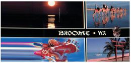 (571) Australia - (with Stamp At Back Of Card) WA - Broome - Broome
