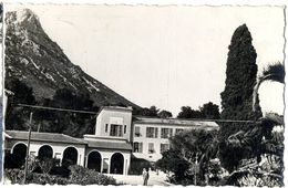 83  LA VALETTE DU VAR  -  LE COUDON  -  CPSM 1950/60 - La Valette Du Var