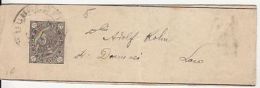 KING CHARLES 1ST, NEWSPAPER WRAPPING STATIONERY, ENTIER POSTAL, 1894, ROMANIA - Lettres & Documents