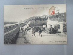 CPA 44 LE CELLIER LA ROUTE DE LA GARE TROUPEAU VACHES - Le Cellier