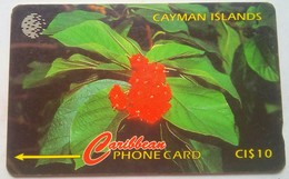 Cayman Islands 94CCIB Broadleaf Flower CI$10 - Kaaimaneilanden