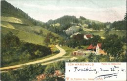 CPA Postkarte SCHWARZWALD - Partie Im Hollenthal - Dr Trenkler Co., Leipzig, 20370 - Höllental