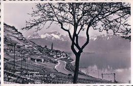 Lavaux, St Saphorin Vu D'avion, Gare Et Chemin De Fer (5480) - Saint-Saphorin