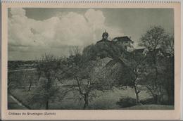 Chateau De Grüningen Zürich - Grüningen