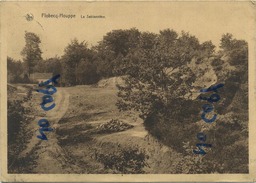 Flobecq-Houppe :  La Sablonnière  ( Grand Format Ecrit Avec Timbre ) - Vloesberg