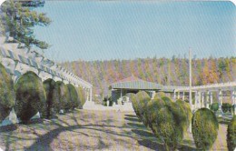 Arkansas Hot Springs Scene Of Mountain Valley Mineral Water Spring - Hot Springs