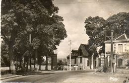 - COURSON Les CARRIERES - Entrée Du Pays  -19663- - Courson-les-Carrières