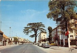 93-LIVRY-GARGAN- L'AVENUE DE LA LIBERATION AVEC LE CEDRE - Livry Gargan