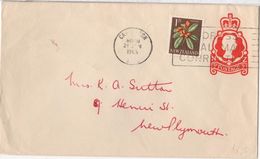 FLOR-L118 - NOUVELLE ZELANDE Entier Postal Enveloppe 1965 - Postal Stationery