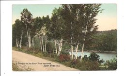 Old Postcard NOVA SCOTIA  - Bear River - Altri & Non Classificati