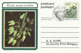 First Day 3c SOUTH AFRICA Postal STATIONERY CARD Illus ERICA URNA VIRIDIS FLOWER Cover Stamps Flowers Rsa - Lettres & Documents