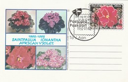 First Day SOUTH AFRICA Postal STATIONERY CARD Illus AFRICAN VIOLET  FLOWER Cover Stamp Flowers Roses Rsa - Lettres & Documents