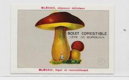 Chromo Champignon Mushroom 9,5 X 6,5 Texte Explicatif Au Dos Publicité Blécao - Andere & Zonder Classificatie